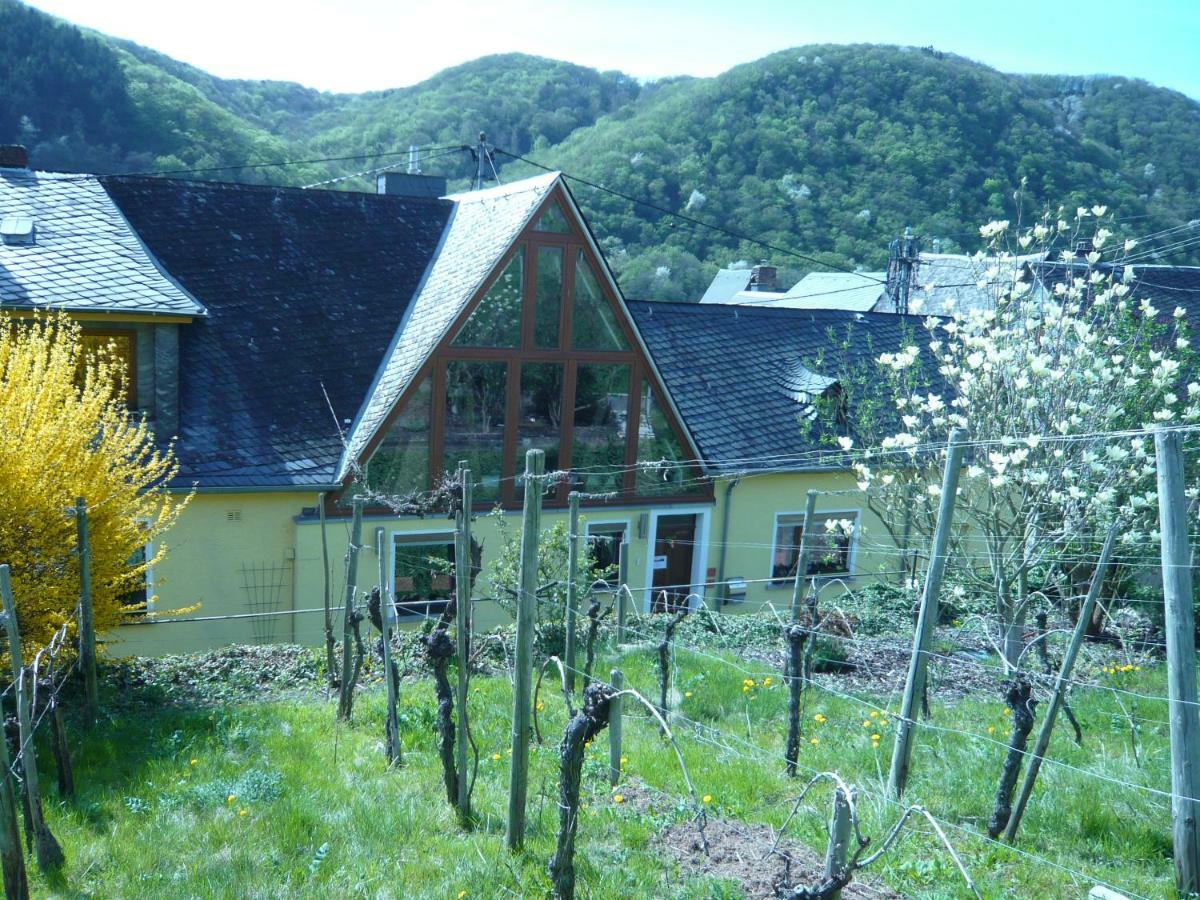 Pension Am Weinberg Mesenich Exteriér fotografie